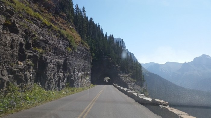 20150811_113951 (Medium)