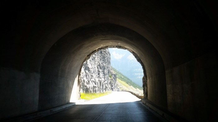 20150811_114009 (Medium)