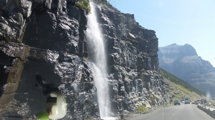 20150811_114027 (Medium)