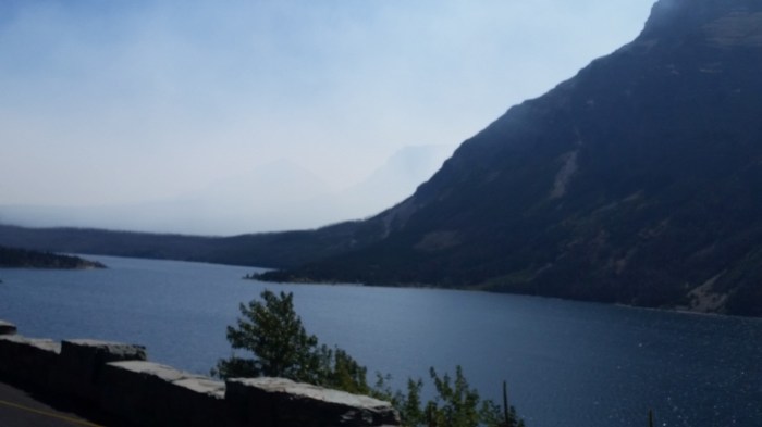 20150811_120529 (Medium)