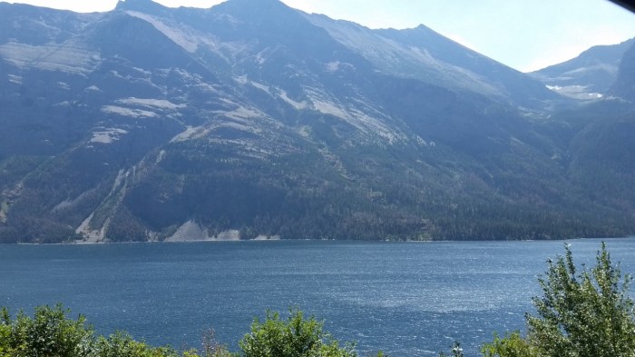 20150811_130642 (Medium)