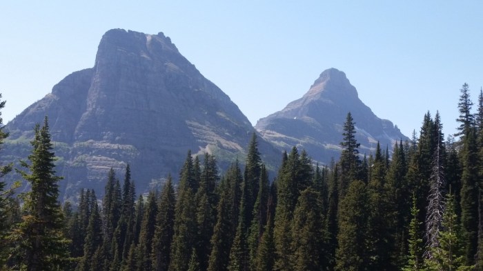 20150811_133152 (Medium)