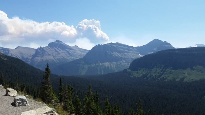 20150811_134525 (Medium)