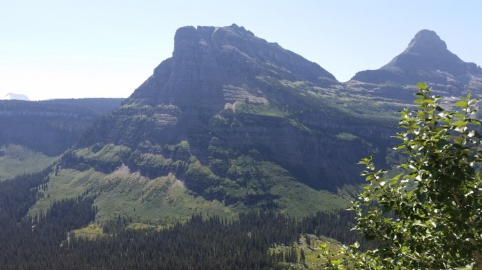 20150811_134531 (Medium)