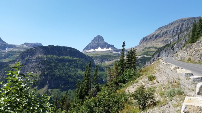 20150811_134536 (Medium)