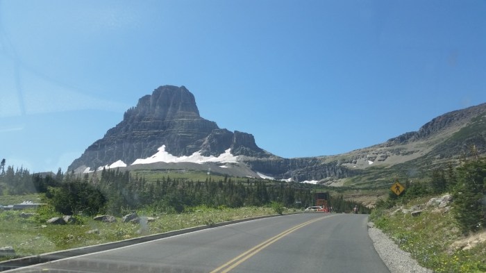 20150811_140132 (Medium)