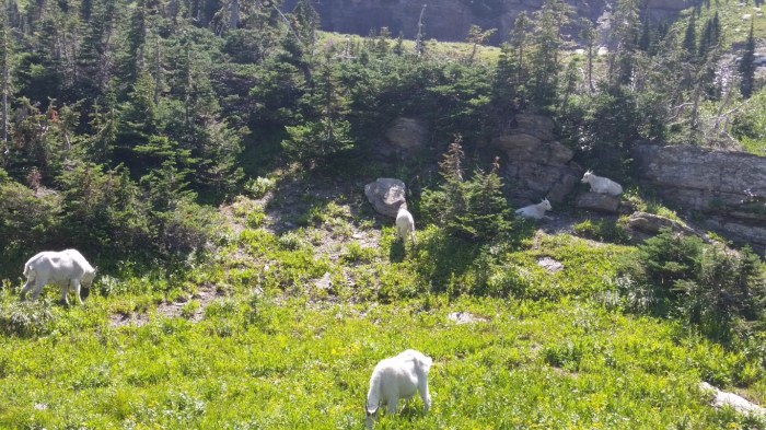 20150811_140302 (Medium)