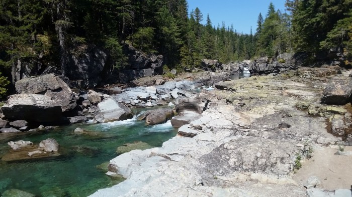 20150811_144304 (Medium)