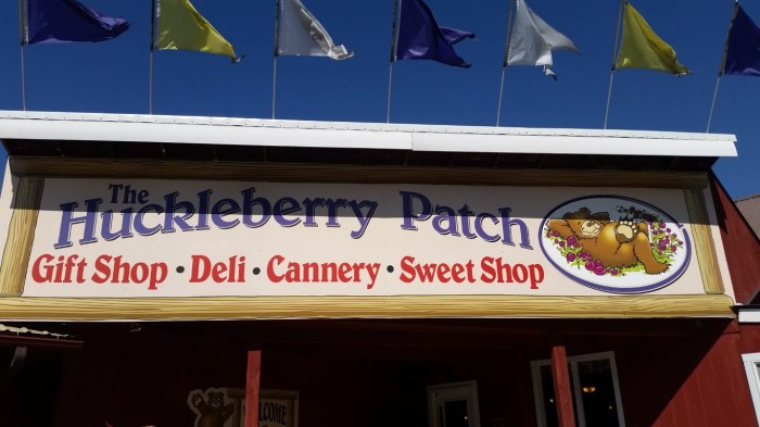 20150811_154438 (Medium)