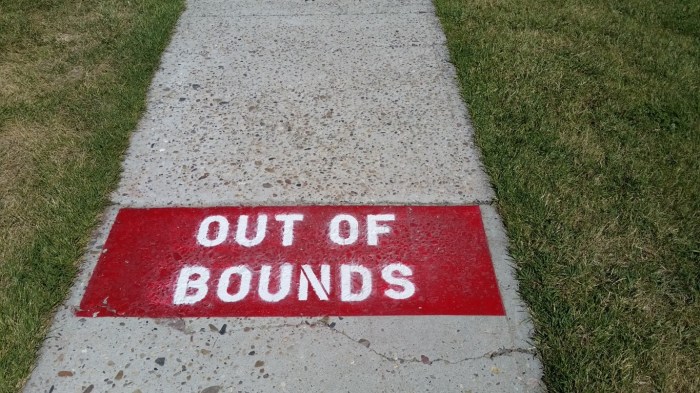 20150814_121348 (Medium)