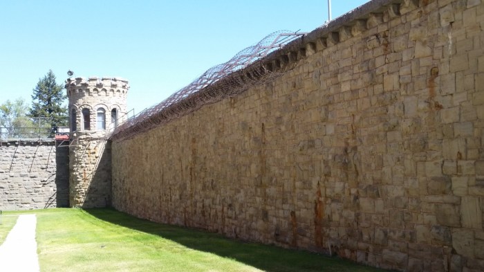 20150814_122433 (Medium)