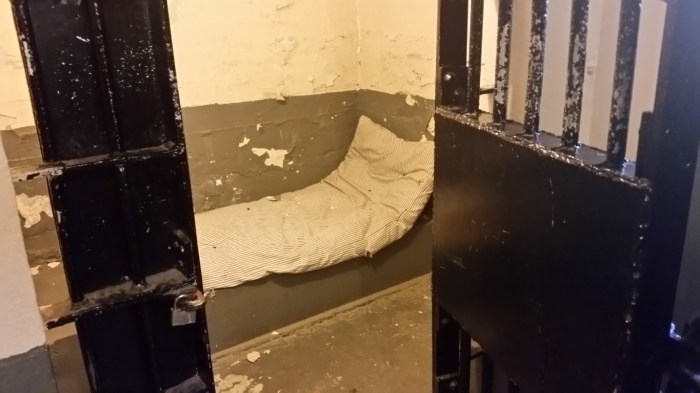 20150814_122642 (Medium)