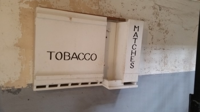 20150814_123459 (Medium)