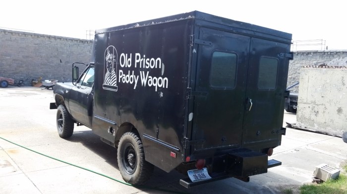 20150814_125405 (Medium)