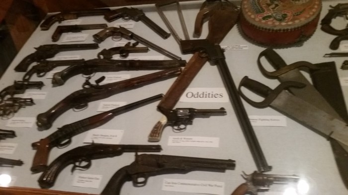 20150814_132527 (Medium)