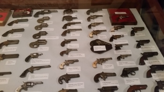 20150814_132845 (Medium)