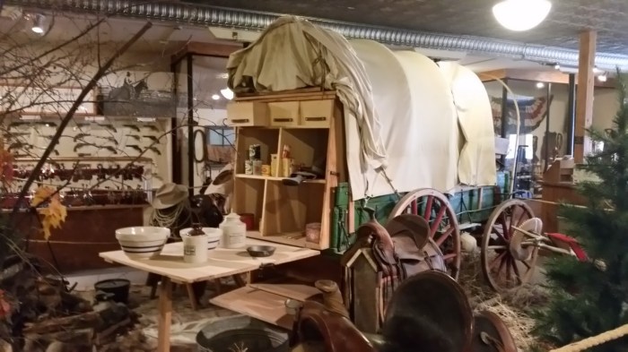 20150814_133231 (Medium)