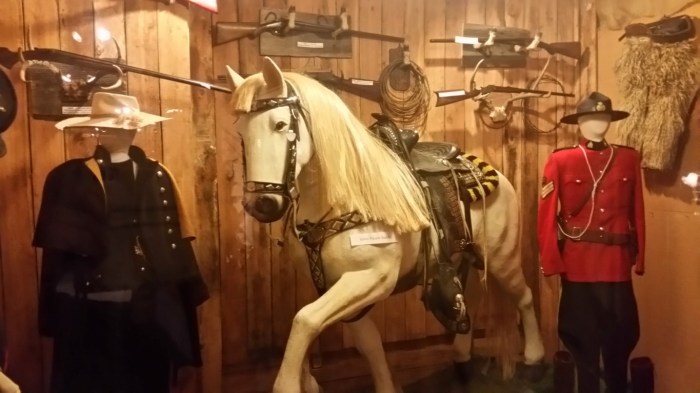 20150814_133422 (Medium)