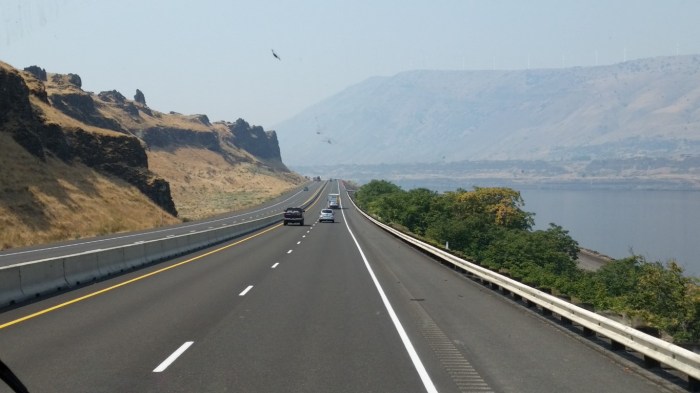 20150819_123957 (Medium)