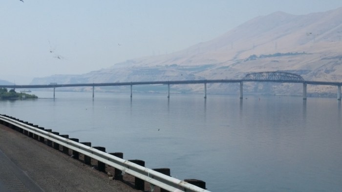 20150819_125106 (Medium)