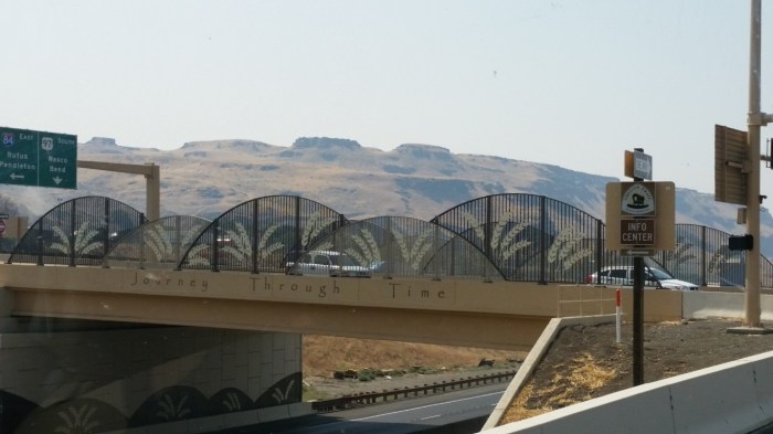 20150819_125148 (Medium)