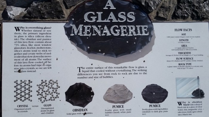 a glass menagerie (Medium)