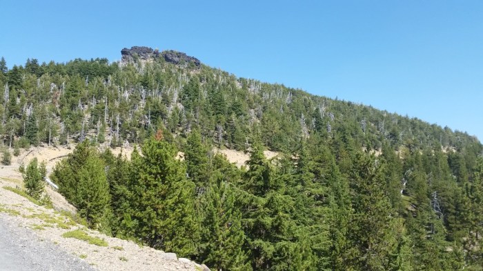 a pauline peak (Medium)