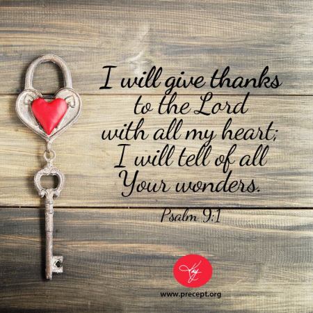 11221903_10153127694272857_5925970841439489854_n