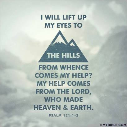 11898525_926575797458013_4386121307521281575_n