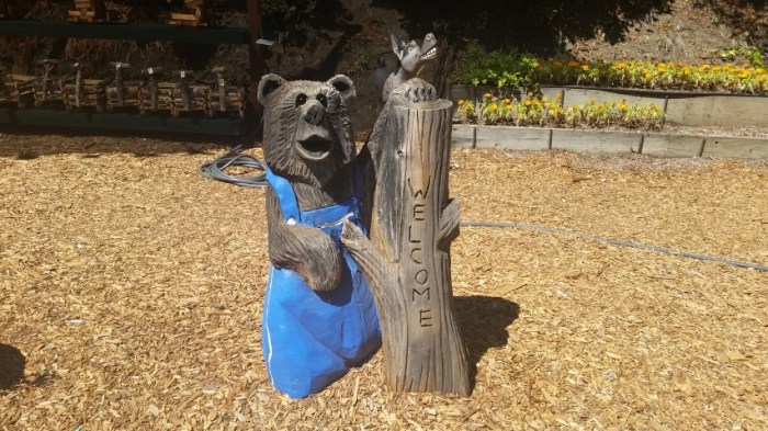 20150909_132656 (Small)