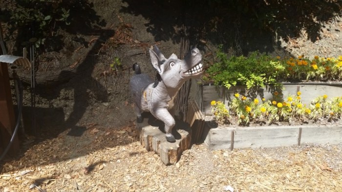 20150909_132704 (Small)