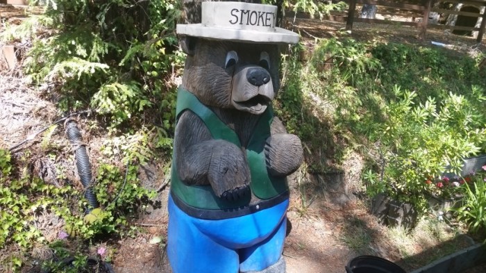 20150909_132802 (Small)