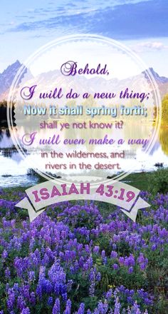 c59b48a8e256ebd8cfd6bde432917ef7