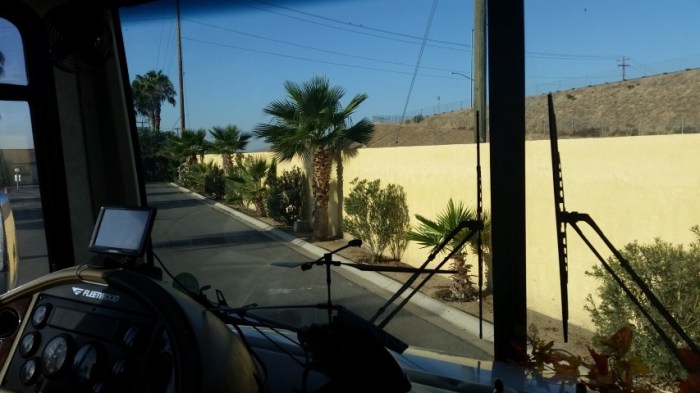 desert palms in bakerfield 2 (Small)