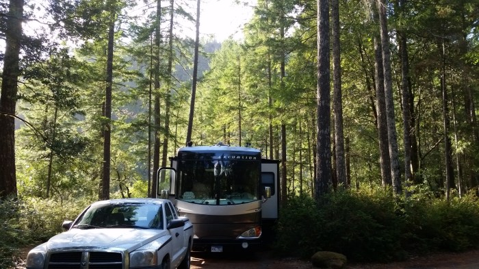 panther flat dora boots