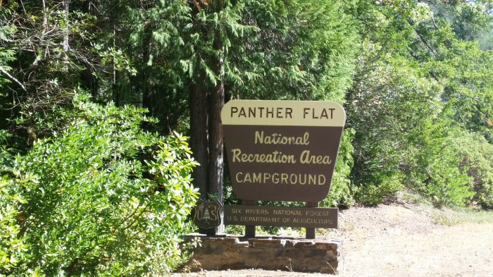 panther flat sign