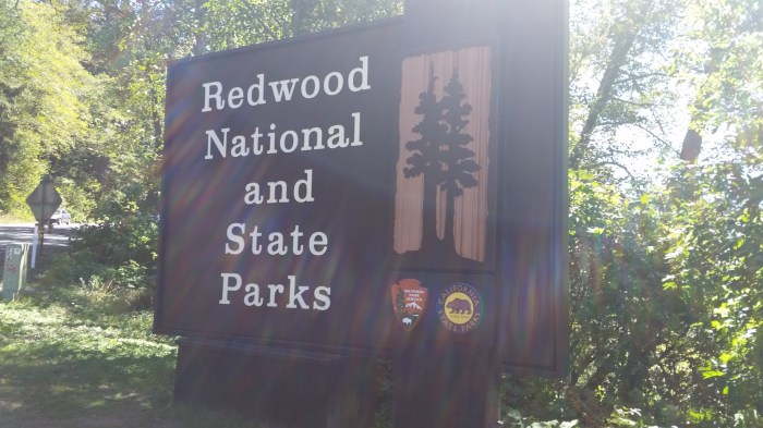 REDWOOD SIGN