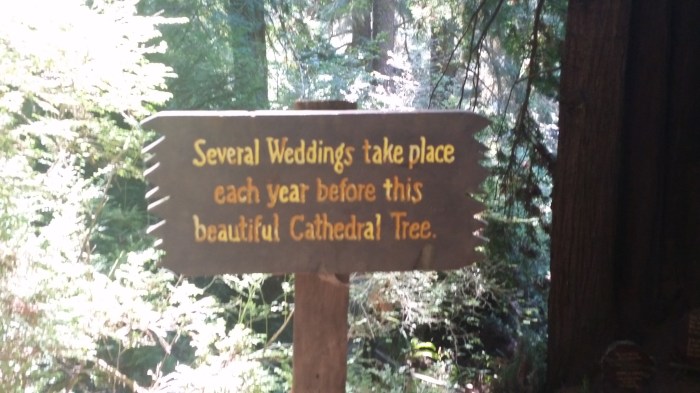 tm19 wedding sign