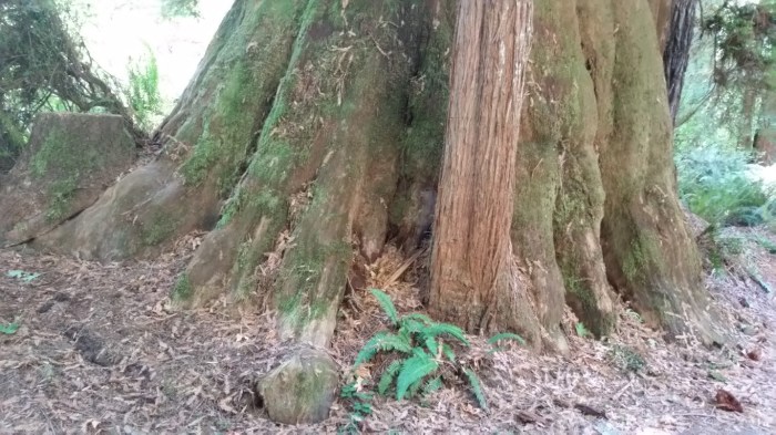 X18 (2) - Copy (Medium)