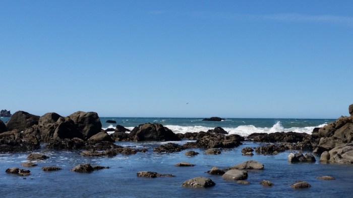 X7 (2) - Copy (Medium)