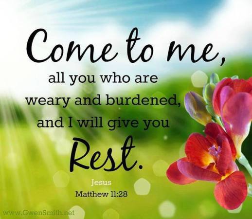 12011217_1007076969345207_4676181424288863022_n