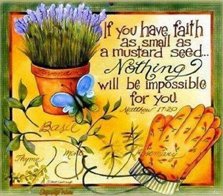 12033245_1007082979344606_2095579833499235624_n