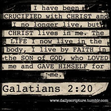 12109308_1022000917841144_4343447814265171609_n