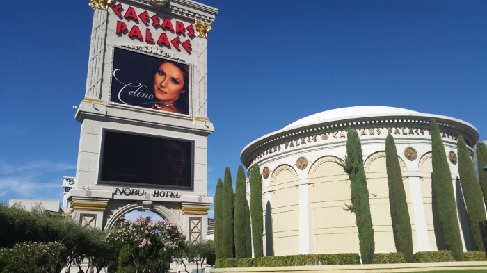 20150930_150211 (Medium)