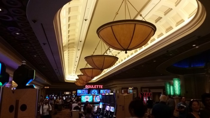 20150930_150535 (Medium)