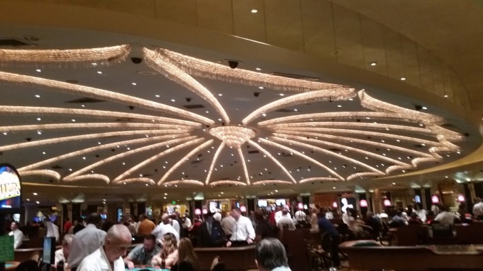 20150930_150712 (Medium)