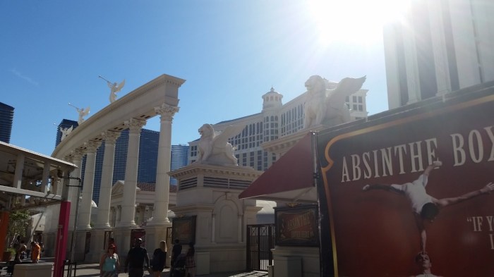 20150930_152404 (Medium)