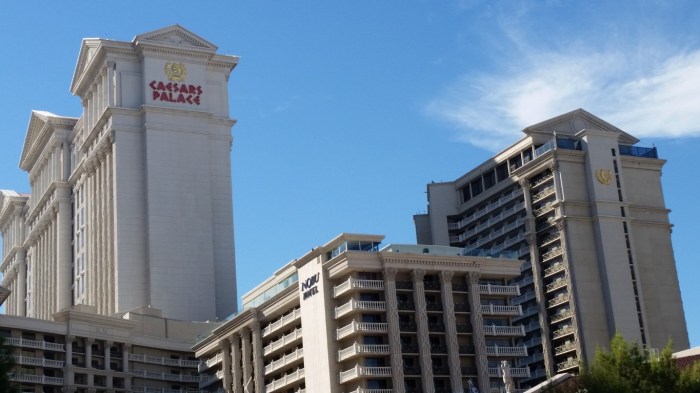 20150930_152601 (Medium)