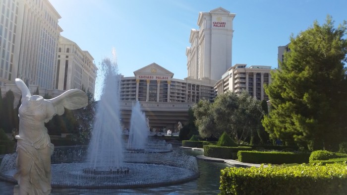 20150930_152746 (Medium)