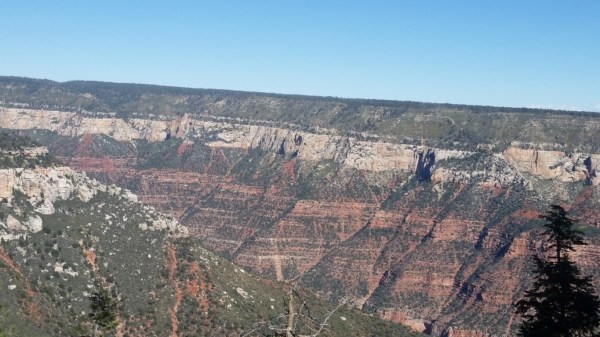 20151002_144858 (Medium)